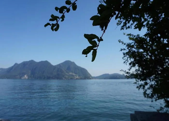 With Terrace And Stunning View